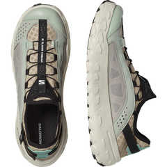SOLAMPHIBIAN