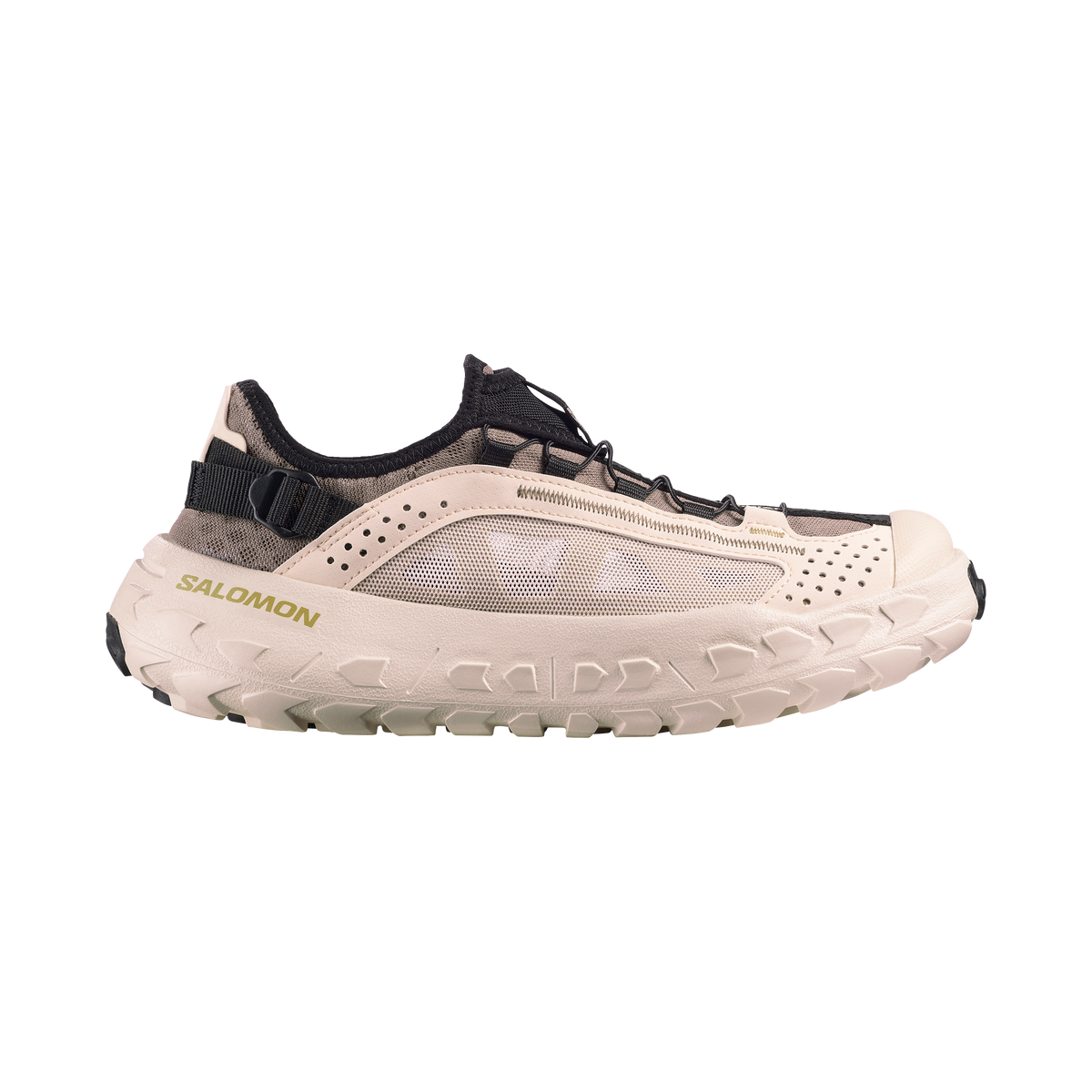 SOLAMPHIBIAN